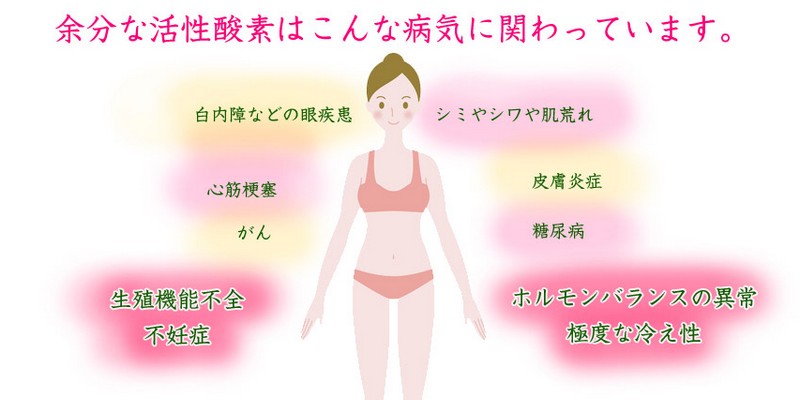 ���C�{�X�v���X���T�C�g